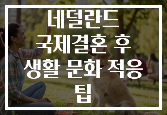 네덜란드 국제결혼 후 생활 문화 적응 팁