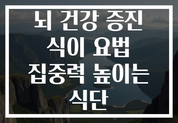 뇌 건강 증진 식이 요법 집중력 높이는 식단