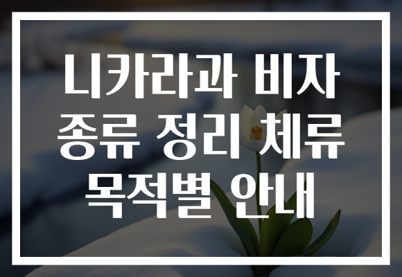 니카라과 비자 종류 정리 체류 목적별 안내