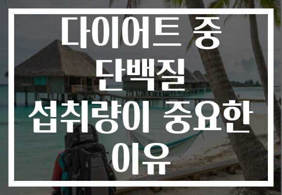 다이어트 중 단백질 섭취량이 중요한 이유