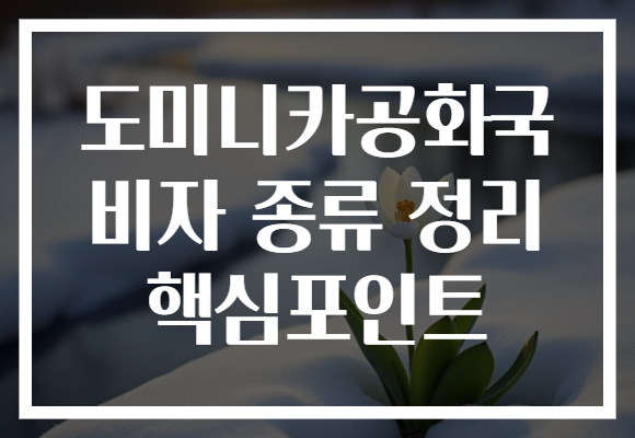 도미니카공화국 비자 종류 정리 핵심포인트