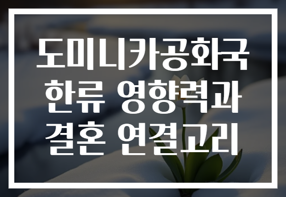 도미니카공화국 한류 영향력과 결혼 연결고리