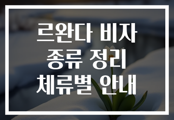 르완다 비자 종류 정리 체류별 안내