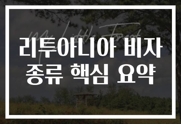 리투아니아 비자 종류 핵심 요약