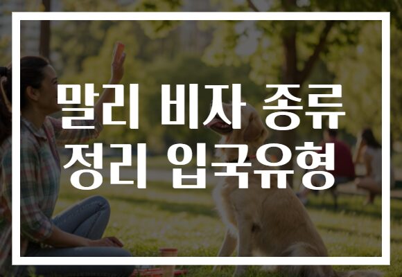 말리 비자 종류 정리 입국유형