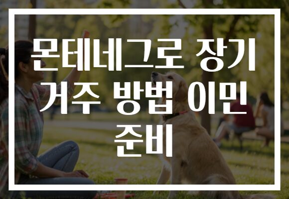 몬테네그로 장기 거주 방법 이민 준비