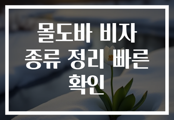 몰도바 비자 종류 정리 빠른 확인
