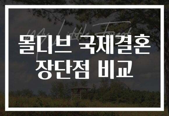 몰디브 국제결혼 장단점 비교