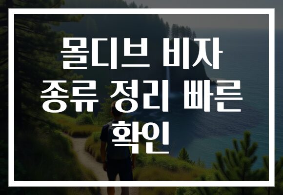 몰디브 비자 종류 정리 빠른 확인