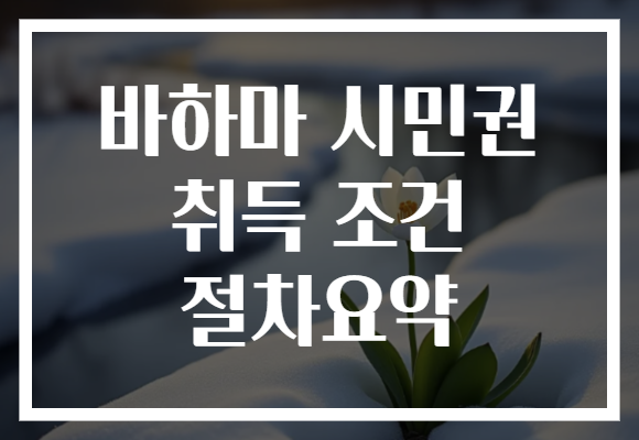 바하마 시민권 취득 조건 절차요약