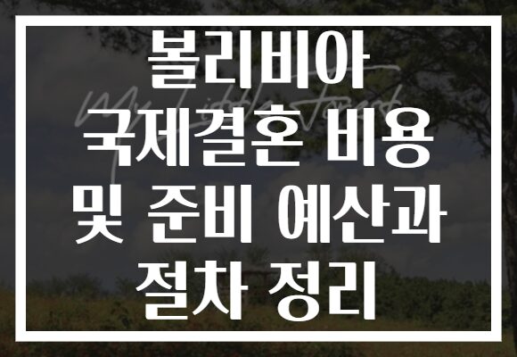 볼리비아 국제결혼 비용 및 준비 예산과 절차 정리