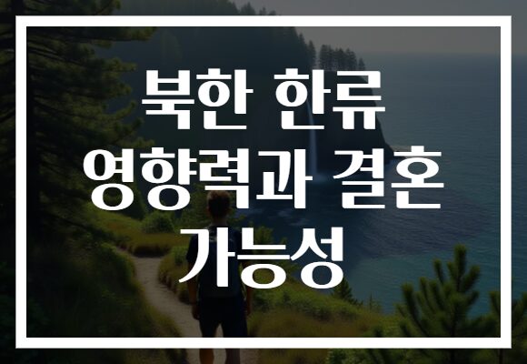 북한 한류 영향력과 결혼 가능성