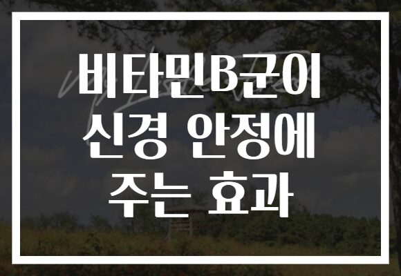 비타민B군이 신경 안정에 주는 효과