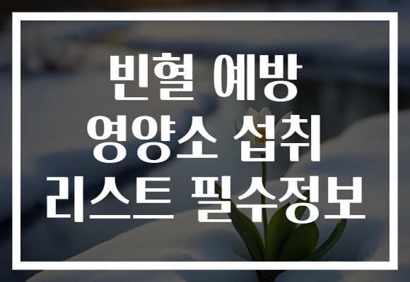 빈혈 예방 영양소 섭취 리스트 필수정보