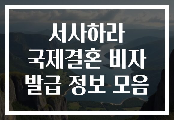 서사하라 국제결혼 비자 발급 정보 모음