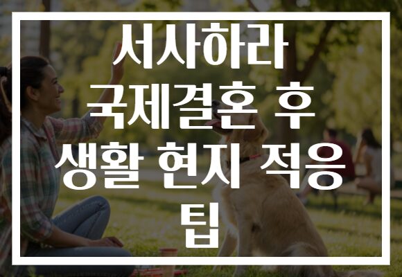 서사하라 국제결혼 후 생활 현지 적응 팁