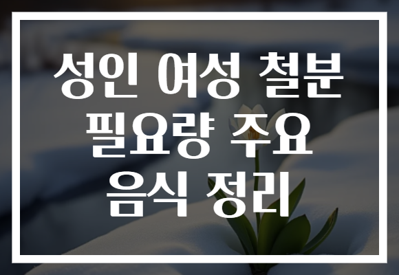 성인 여성 철분 필요량 주요 음식 정리
