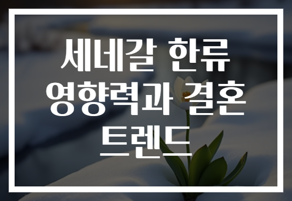세네갈 한류 영향력과 결혼 트렌드