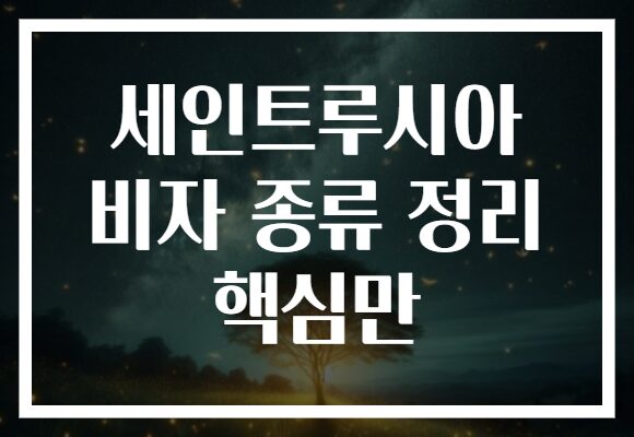 세인트루시아 비자 종류 정리 핵심만