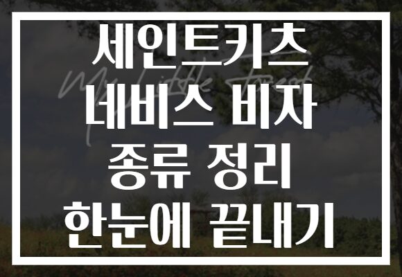 세인트키츠 네비스 비자 종류 정리 한눈에 끝내기