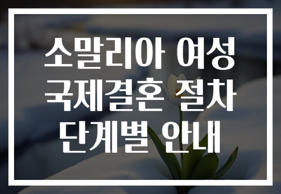 소말리아 여성 국제결혼 절차 단계별 안내