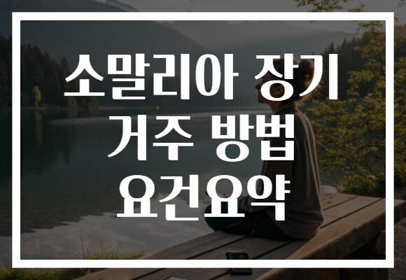 소말리아 장기 거주 방법 요건요약