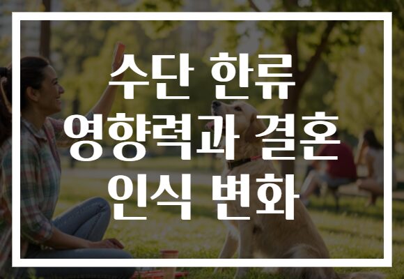 수단 한류 영향력과 결혼 인식 변화