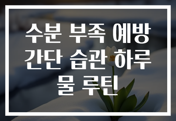 수분 부족 예방 간단 습관 하루 물 루틴