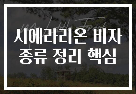 시에라리온 비자 종류 정리 핵심