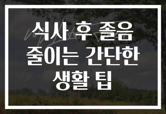 식사 후 졸음 줄이는 간단한 생활 팁