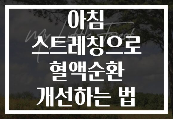 아침 스트레칭으로 혈액순환 개선하는 법