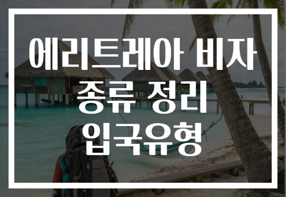 에리트레아 비자 종류 정리 입국유형