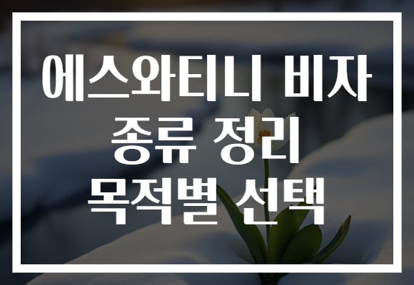 에스와티니 비자 종류 정리 목적별 선택
