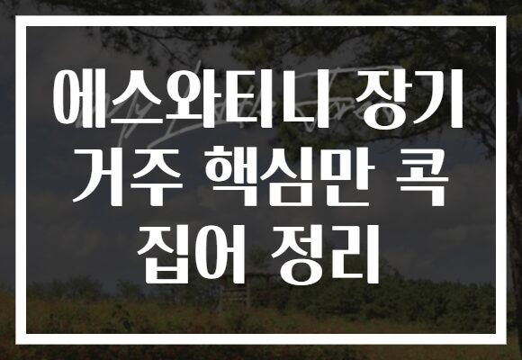 에스와티니 장기 거주 핵심만 콕 집어 정리