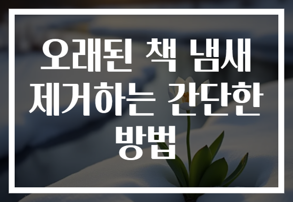 오래된 책 냄새 제거하는 간단한 방법