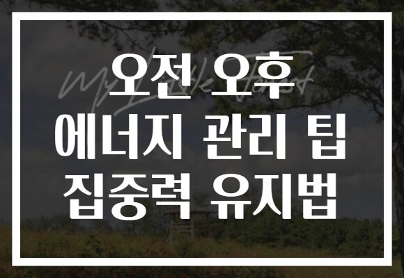 오전 오후 에너지 관리 팁 집중력 유지법