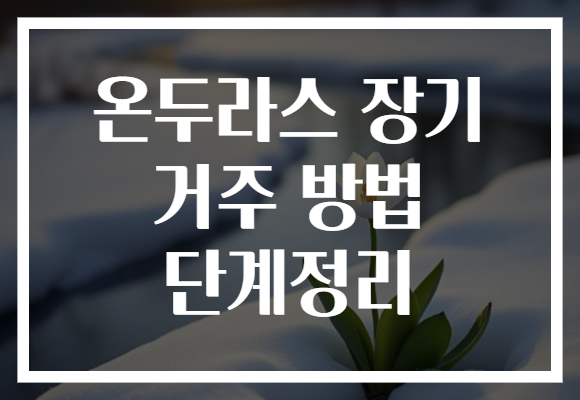 온두라스 장기 거주 방법 단계정리