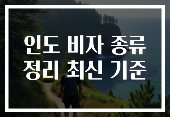 인도 비자 종류 정리 최신 기준