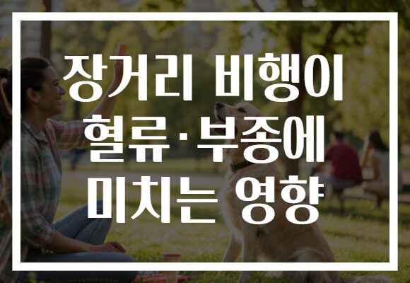 장거리 비행이 혈류·부종에 미치는 영향