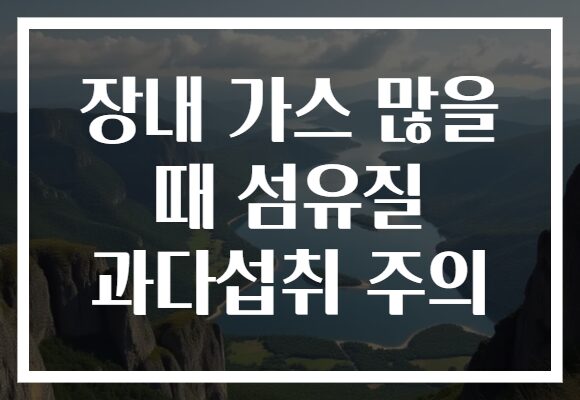 장내 가스 많을 때 섬유질 과다섭취 주의