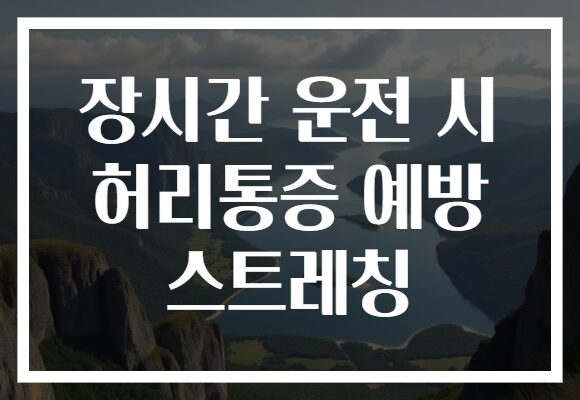 장시간 운전 시 허리통증 예방 스트레칭