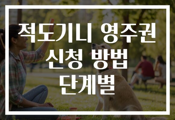 적도기니 영주권 신청 방법 단계별