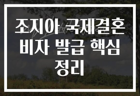 조지아 국제결혼 비자 발급 핵심 정리