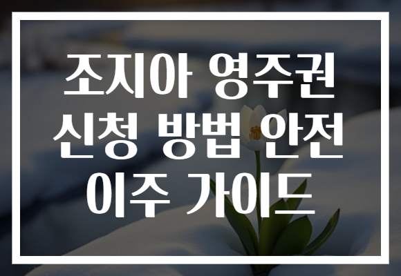 조지아 영주권 신청 방법 안전 이주 가이드