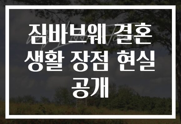 짐바브웨 결혼 생활 장점 현실 공개