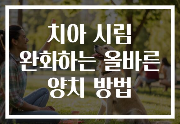 치아 시림 완화하는 올바른 양치 방법