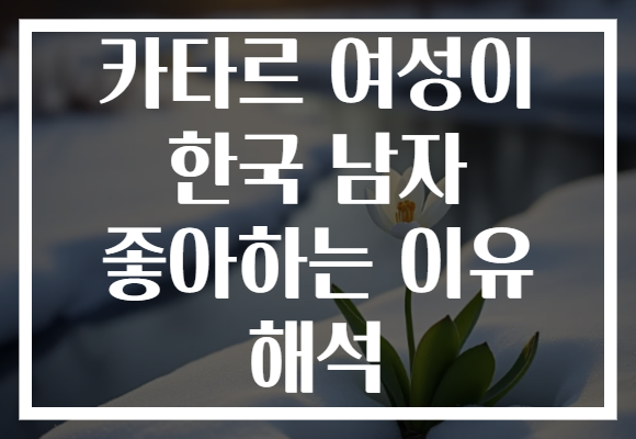 카타르 여성이 한국 남자 좋아하는 이유 해석