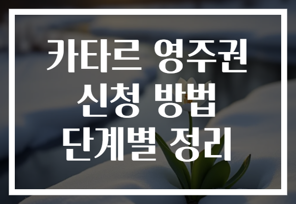 카타르 영주권 신청 방법 단계별 정리