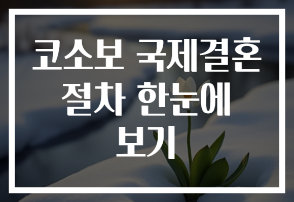 코소보 국제결혼 절차 한눈에 보기