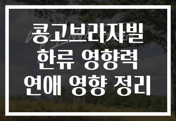 콩고브라자빌 한류 영향력 연애 영향 정리